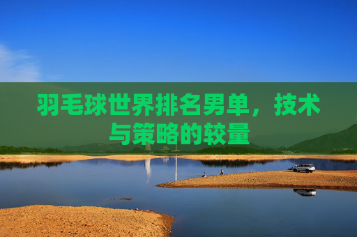 羽毛球世界排名男单，技术与策略的较量