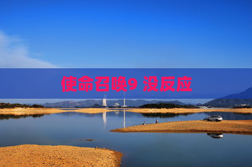 使命召唤9 没反应