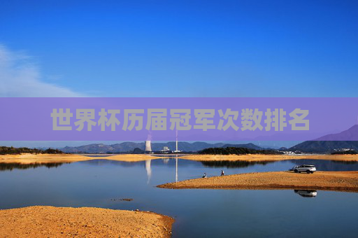 世界杯历届冠军次数排名
