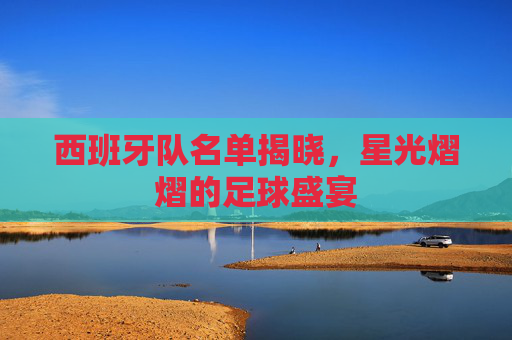 西班牙队名单揭晓，星光熠熠的足球盛宴