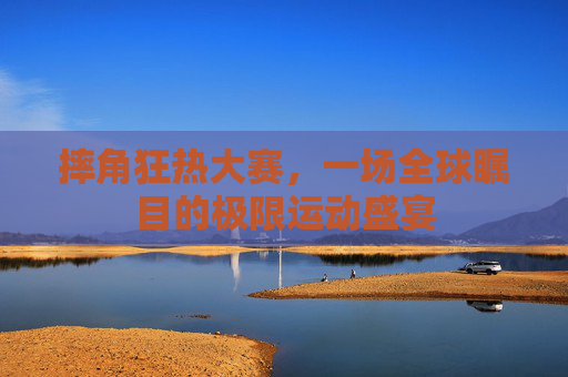 摔角狂热大赛，一场全球瞩目的极限运动盛宴