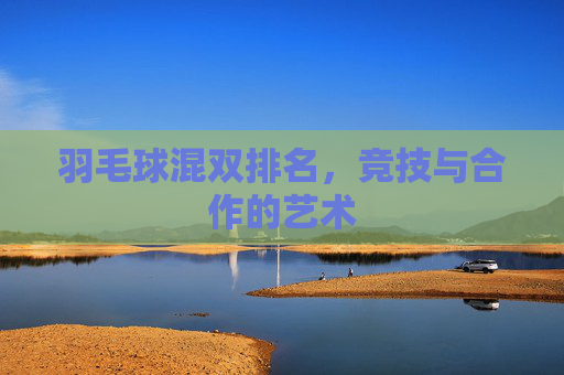 羽毛球混双排名，竞技与合作的艺术