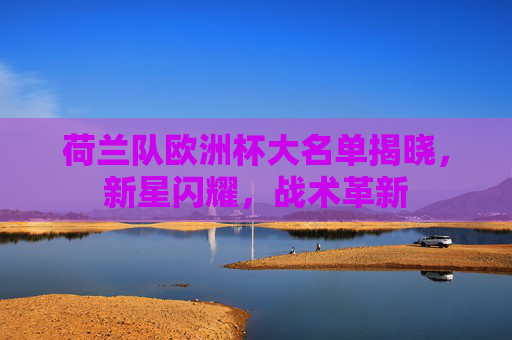 荷兰队欧洲杯大名单揭晓，新星闪耀，战术革新