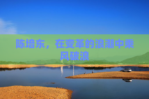 陈培东，在变革的浪潮中乘风破浪