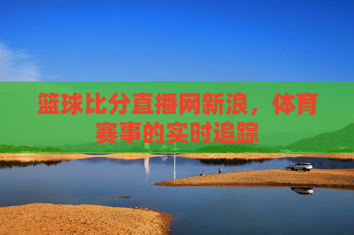篮球比分直播网新浪，体育赛事的实时追踪