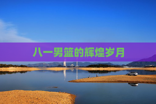 八一男篮的辉煌岁月