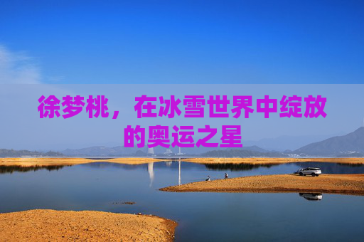 徐梦桃,在冰雪世界中绽放的奥运之星 徐梦桃,在冰雪世界中绽放的奥运之星