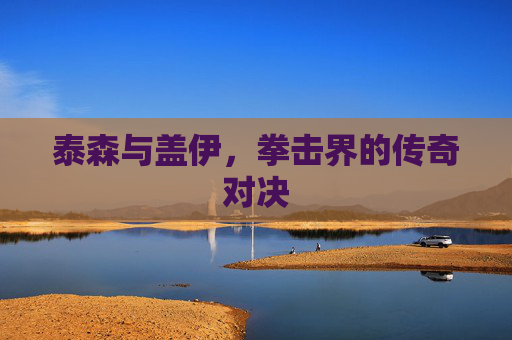 泰森与盖伊，拳击界的传奇对决