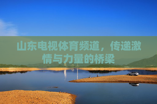 山东电视体育频道，传递激情与力量的桥梁