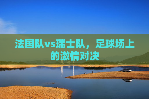 法国队vs瑞士队，足球场上的激情对决