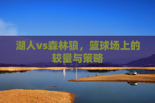 湖人vs森林狼，篮球场上的较量与策略