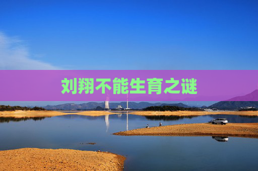 刘翔不能生育之谜 刘翔不能生育之谜