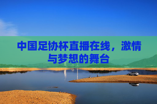 中国足协杯直播在线,激情与梦想的舞台 中国足协杯直播在线,激情与梦想的舞台