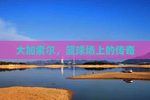 大加索尔,篮球场上的传奇 大加索尔,篮球场上的传奇