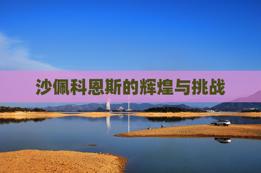 沙佩科恩斯的辉煌与挑战 沙佩科恩斯的辉煌与挑战
