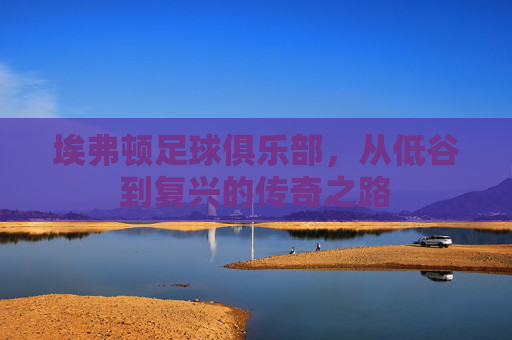 埃弗顿足球俱乐部，从低谷到复兴的传奇之路