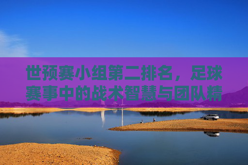 世预赛小组第二排名,足球赛事中的战术智慧与团队精神 世预赛小组第二排名,足球赛事中的战术智慧与团队精神