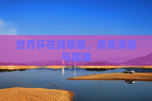 世界杯在线观看，感受激情与荣耀