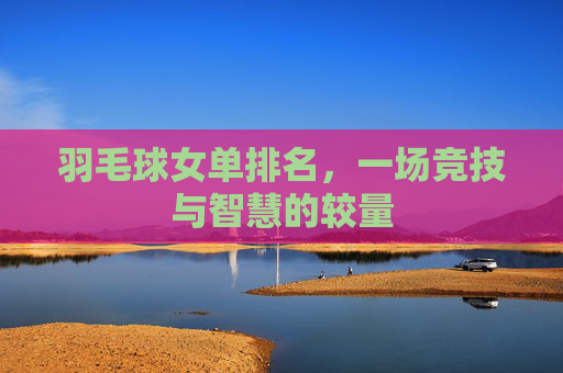羽毛球女单排名，一场竞技与智慧的较量