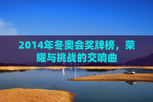 2014年冬奥会奖牌榜，荣耀与挑战的交响曲