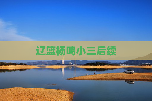 辽篮杨鸣小三后续
