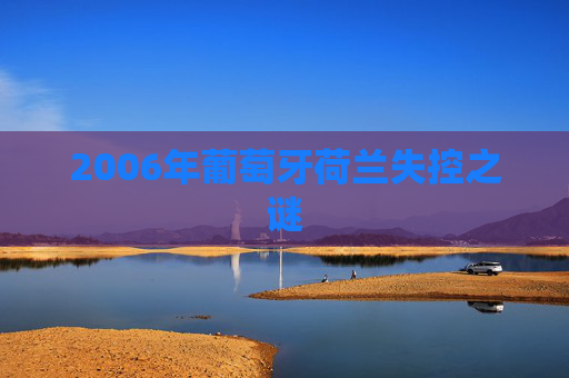 2006年葡萄牙荷兰失控之谜