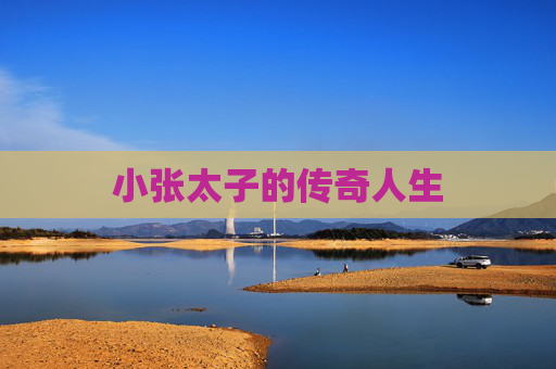 小张太子的传奇人生