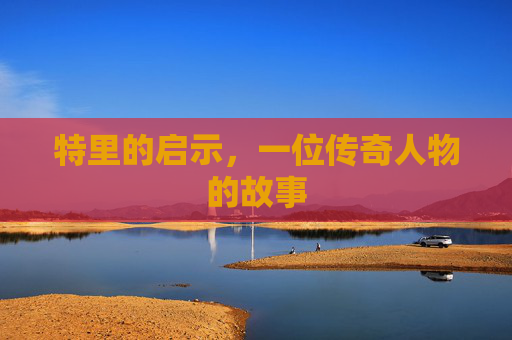特里的启示，一位传奇人物的故事
