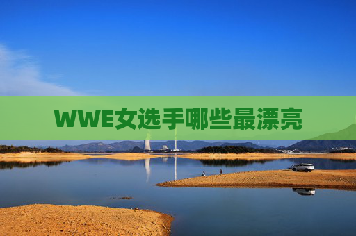 WWE女选手哪些最漂亮 WWE女选手哪些最漂亮