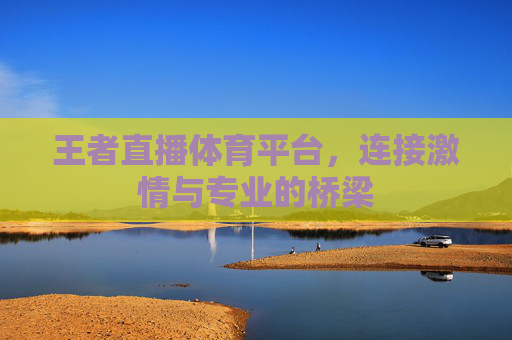 王者直播体育平台，连接激情与专业的桥梁