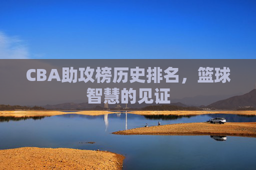 CBA助攻榜历史排名，篮球智慧的见证