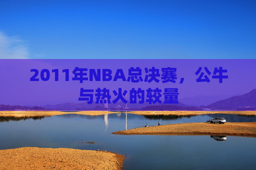 2011年NBA总决赛，公牛与热火的较量