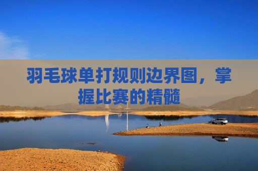 羽毛球单打规则边界图,掌握比赛的精髓 羽毛球单打规则边界图,掌握比赛的精髓