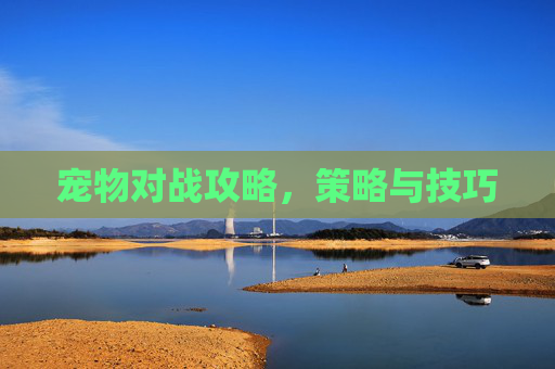 宠物对战攻略，策略与技巧