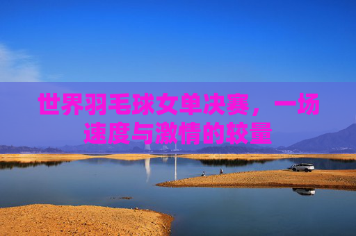 世界羽毛球女单决赛，一场速度与激情的较量