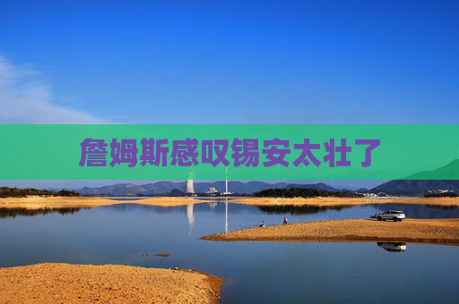 詹姆斯感叹锡安太壮了