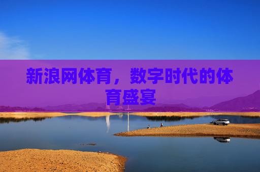 新浪网体育,数字时代的体育盛宴 新浪网体育,数字时代的体育盛宴