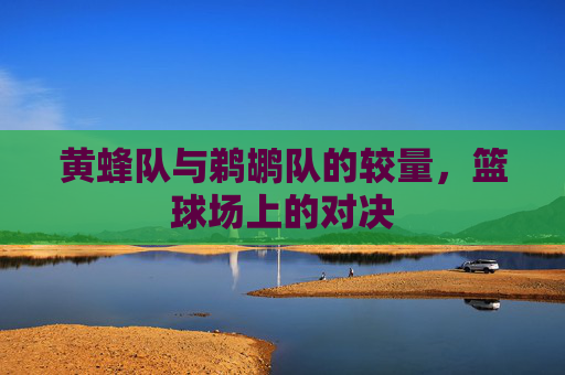 黄蜂队与鹈鹕队的较量，篮球场上的对决