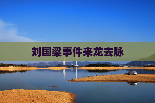 刘国梁事件来龙去脉