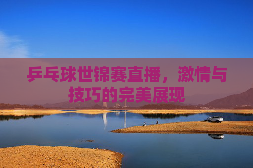 乒乓球世锦赛直播，激情与技巧的完美展现