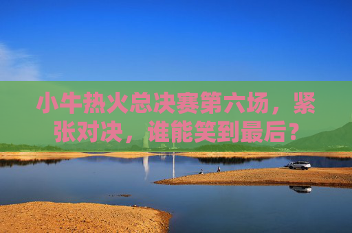 小牛热火总决赛第六场，紧张对决，谁能笑到最后？