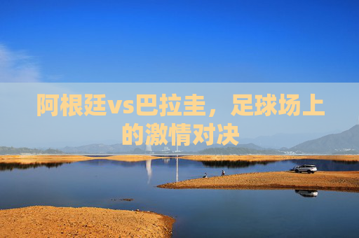 阿根廷vs巴拉圭，足球场上的激情对决