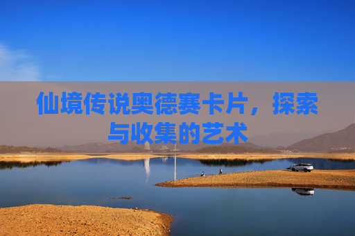 仙境传说奥德赛卡片，探索与收集的艺术