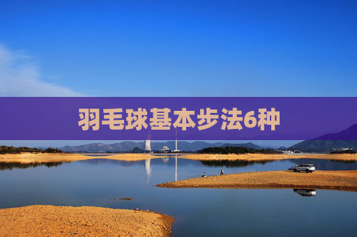 羽毛球基本步法6种