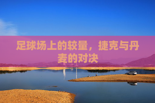 足球场上的较量，捷克与丹麦的对决