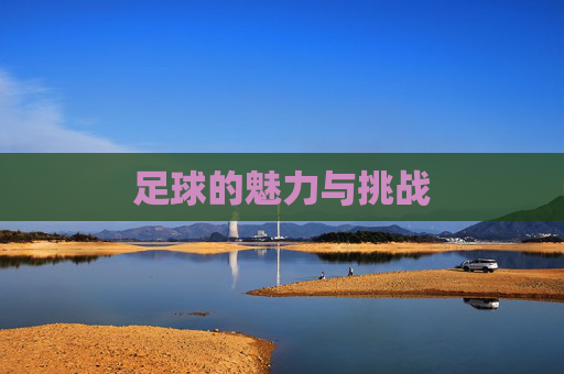 足球的魅力与挑战