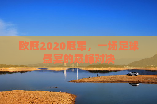 欧冠2020冠军，一场足球盛宴的巅峰对决