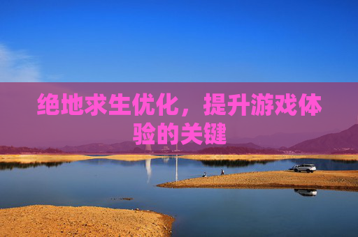 绝地求生优化,提升游戏体验的关键 绝地求生优化,提升游戏体验的关键