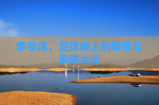 李章洙，足球场上的智者与策略大师