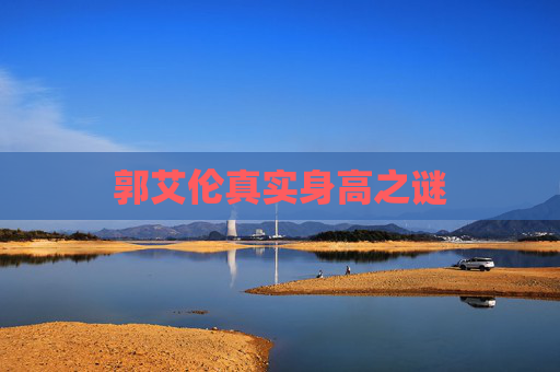郭艾伦真实身高之谜